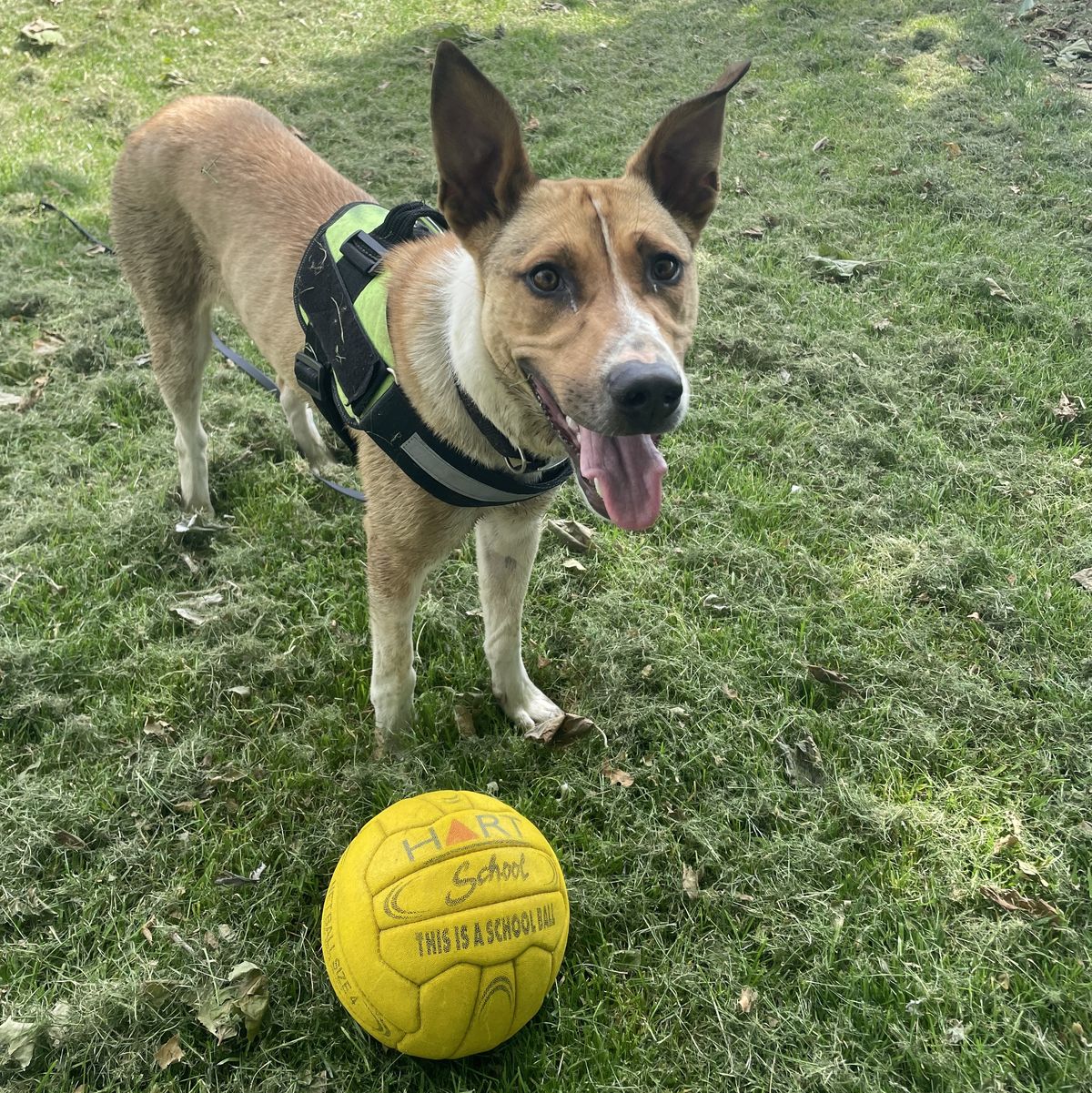 Gallery image: Johnny