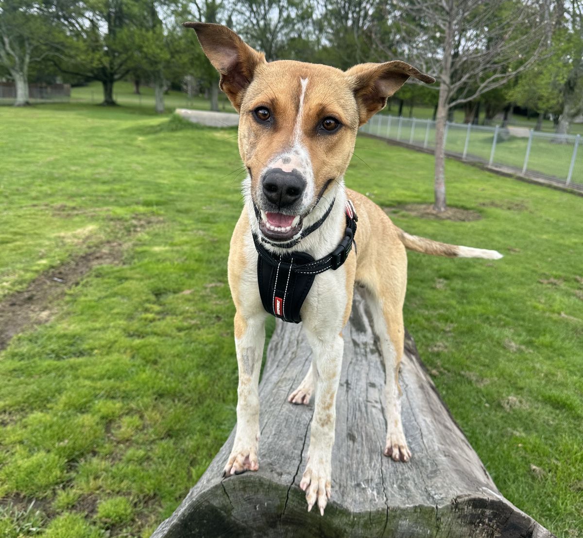 Gallery image: Johnny