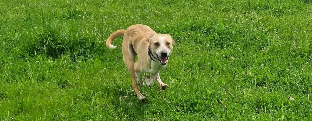 Gallery image: Sprout