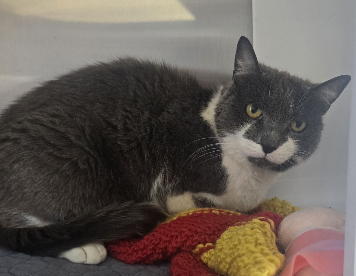 Gallery image: Andalusia