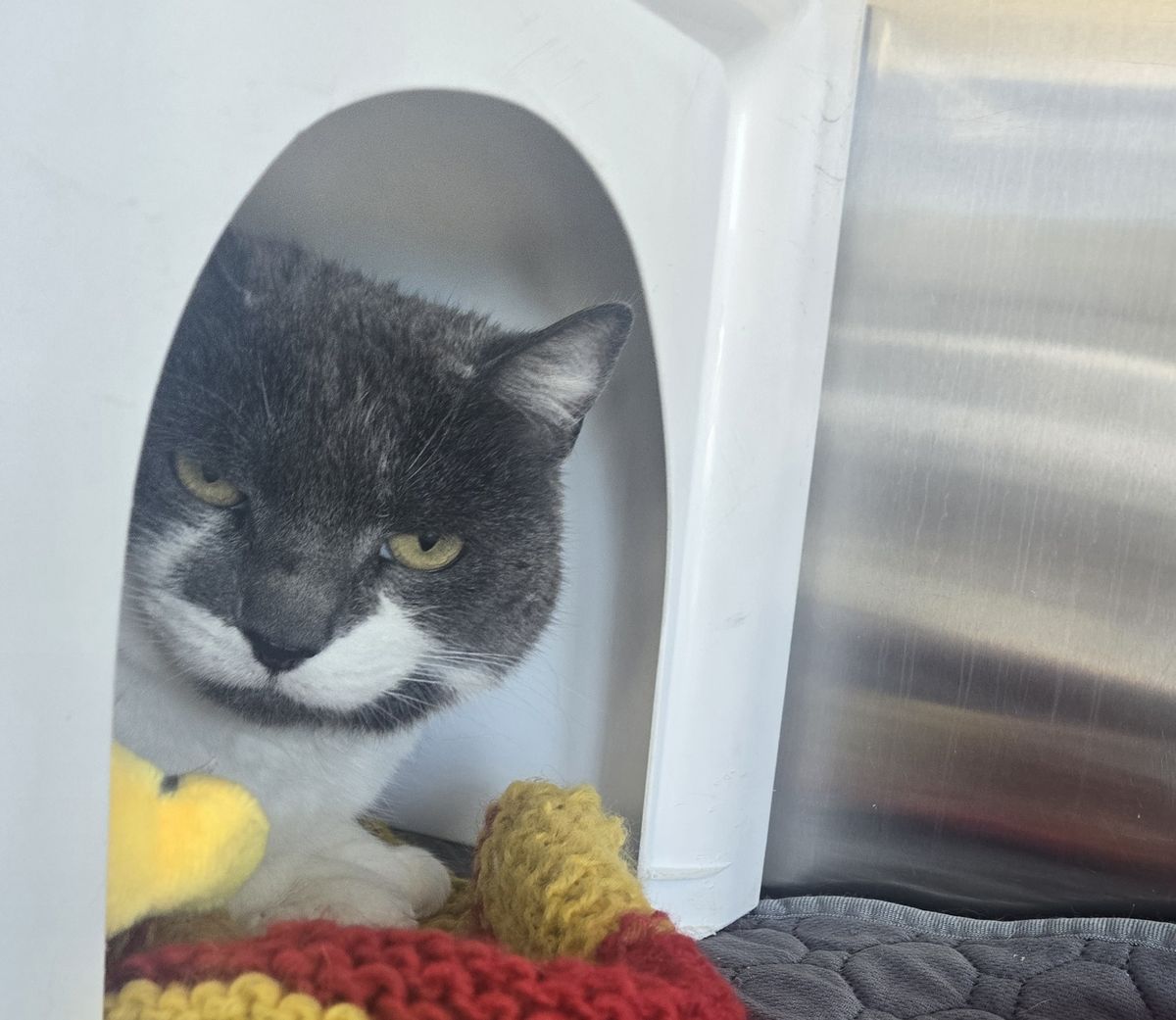 Gallery image: Andalusia