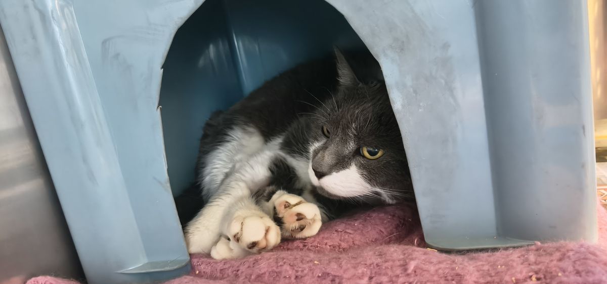 Gallery image: Andalusia