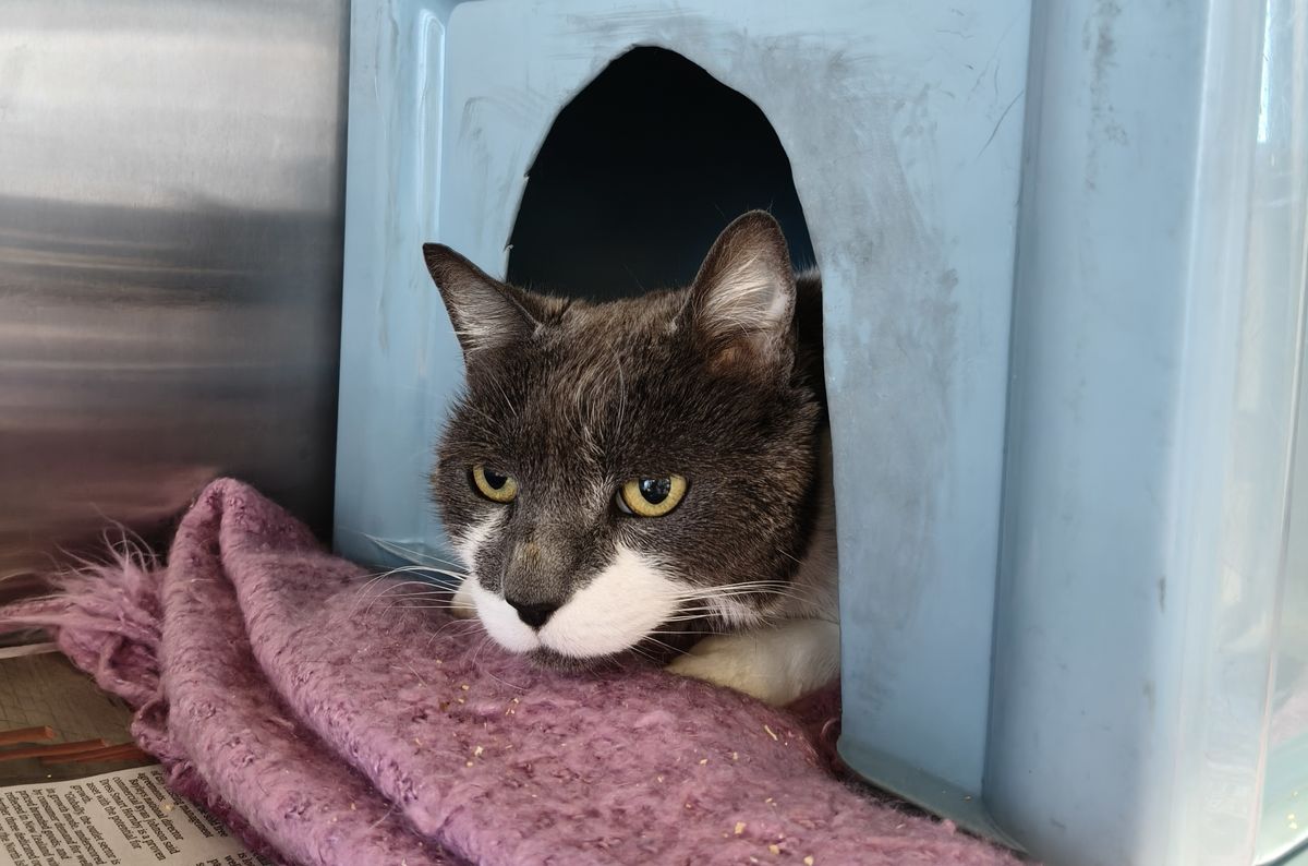 Gallery image: Andalusia