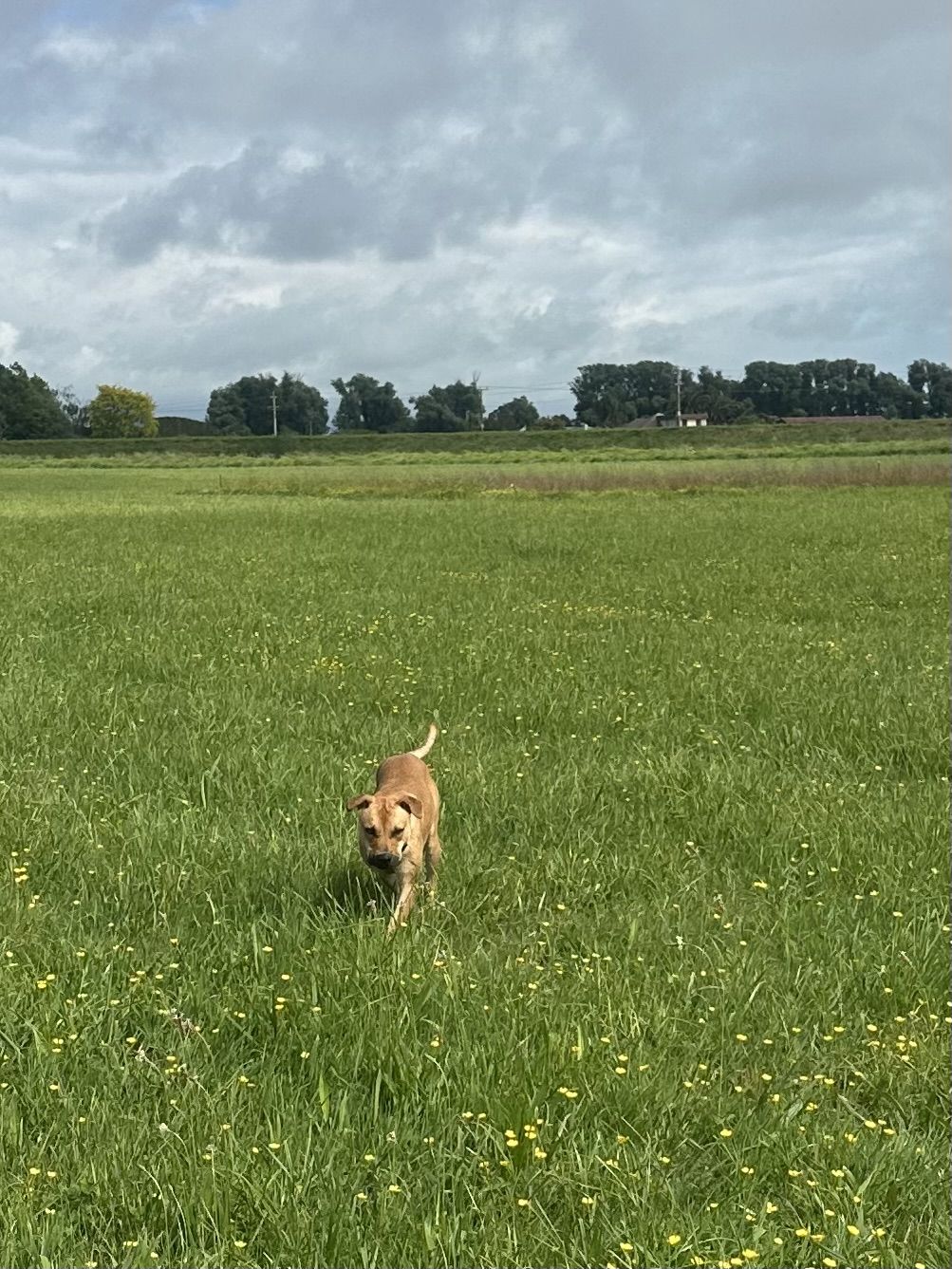 Gallery image: Stanley