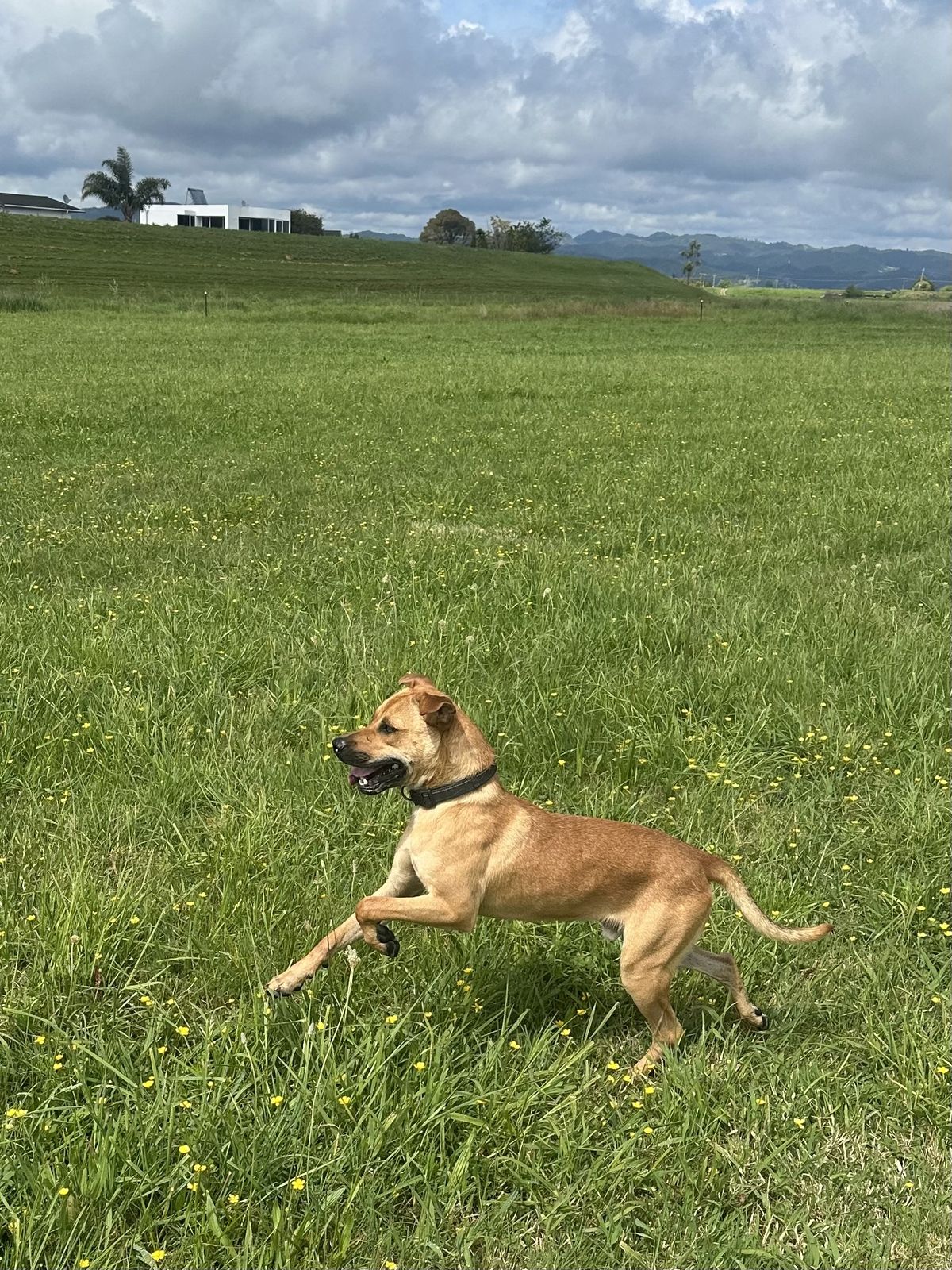 Gallery image: Stanley