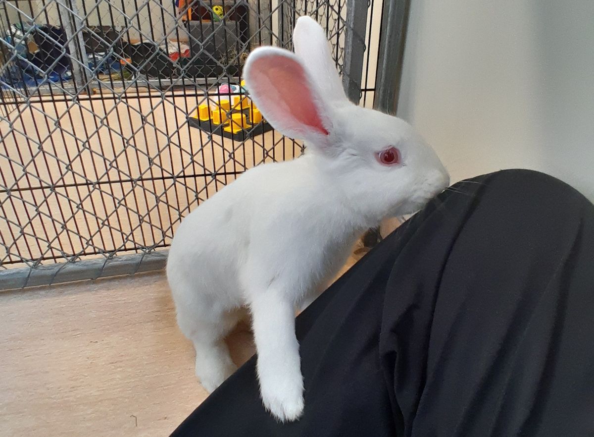 Gallery image: Delilah