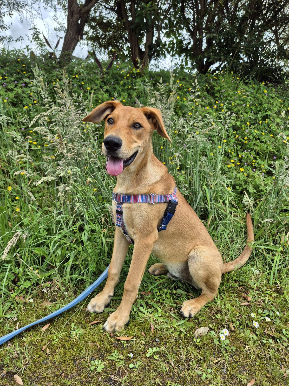 Gallery image: Pretzel