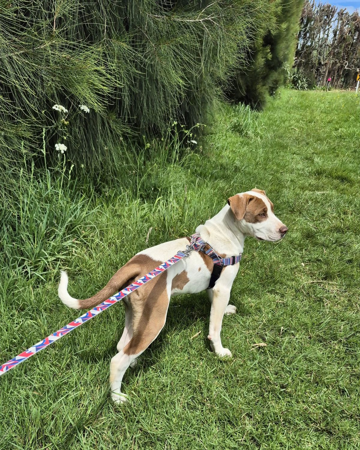 Gallery image: River