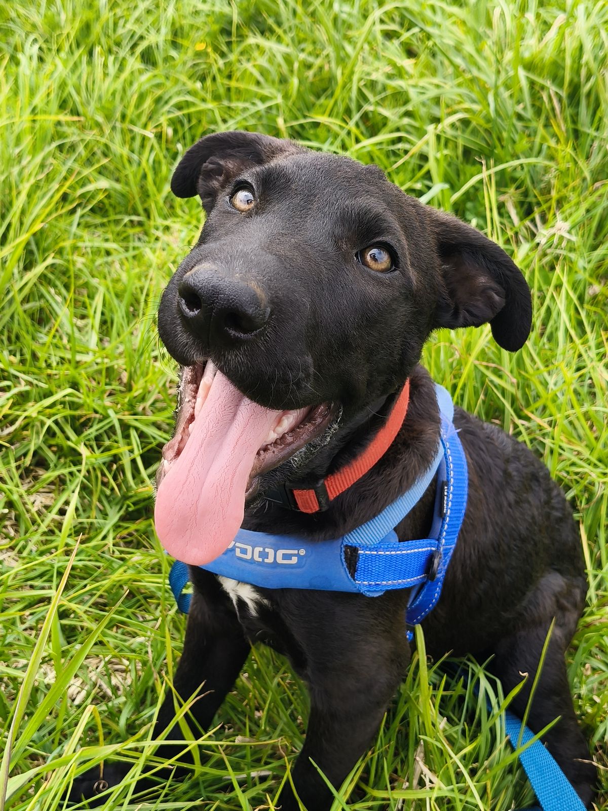 Gallery image: Maggie