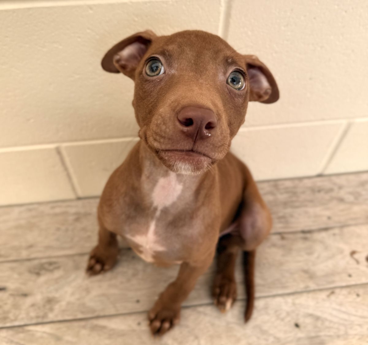 Gallery image: Celia