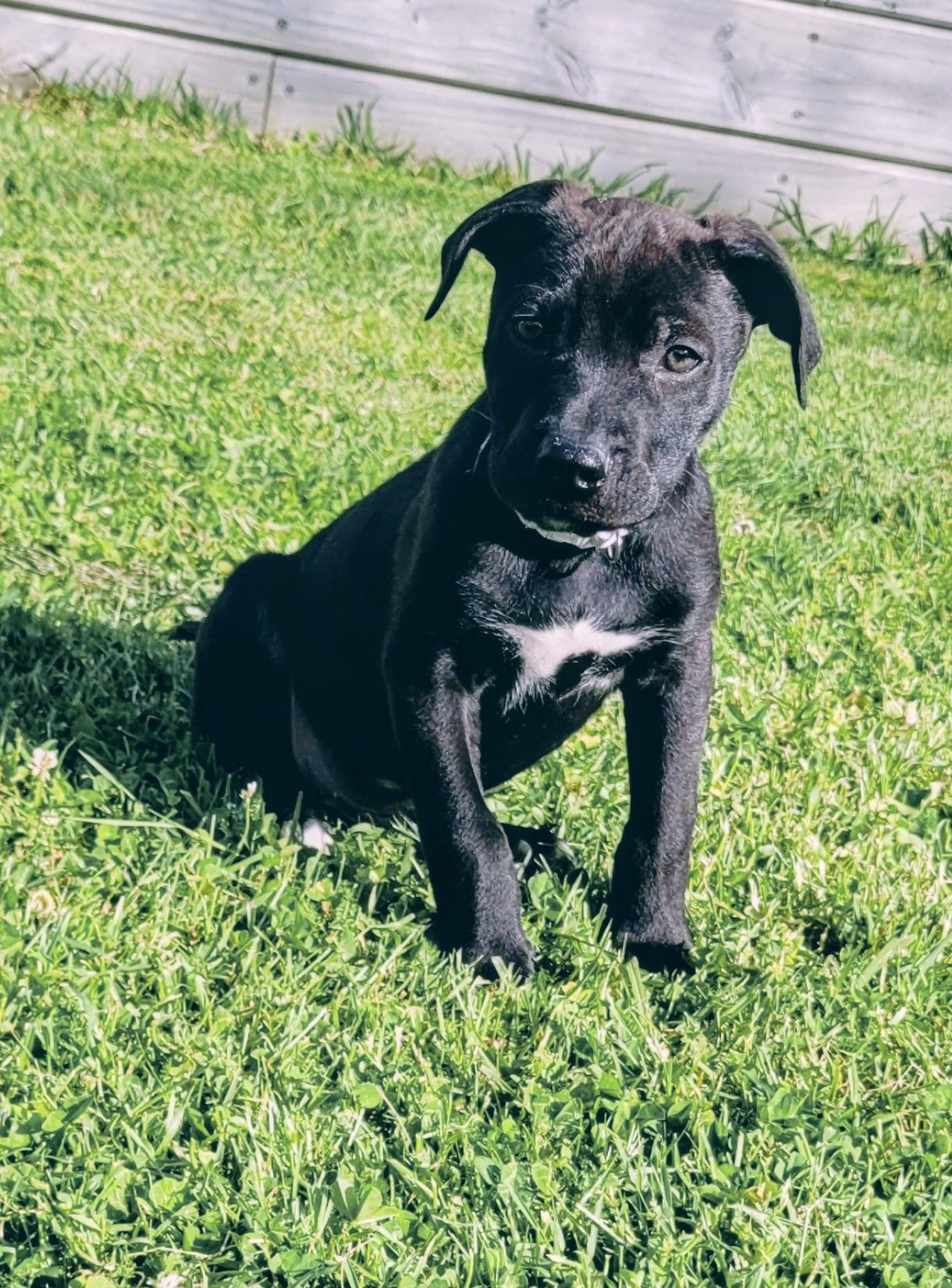 Gallery image: Jimmy