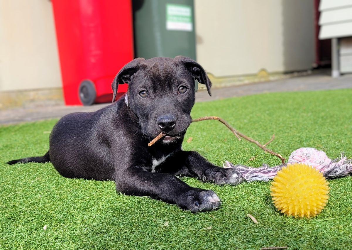 Gallery image: Jimmy