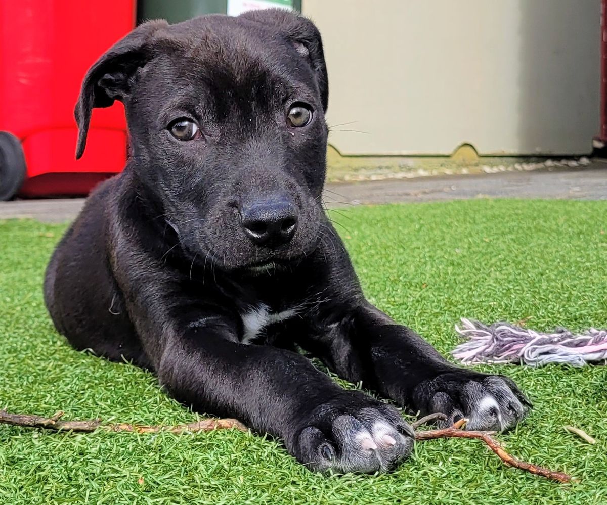 Gallery image: Jimmy