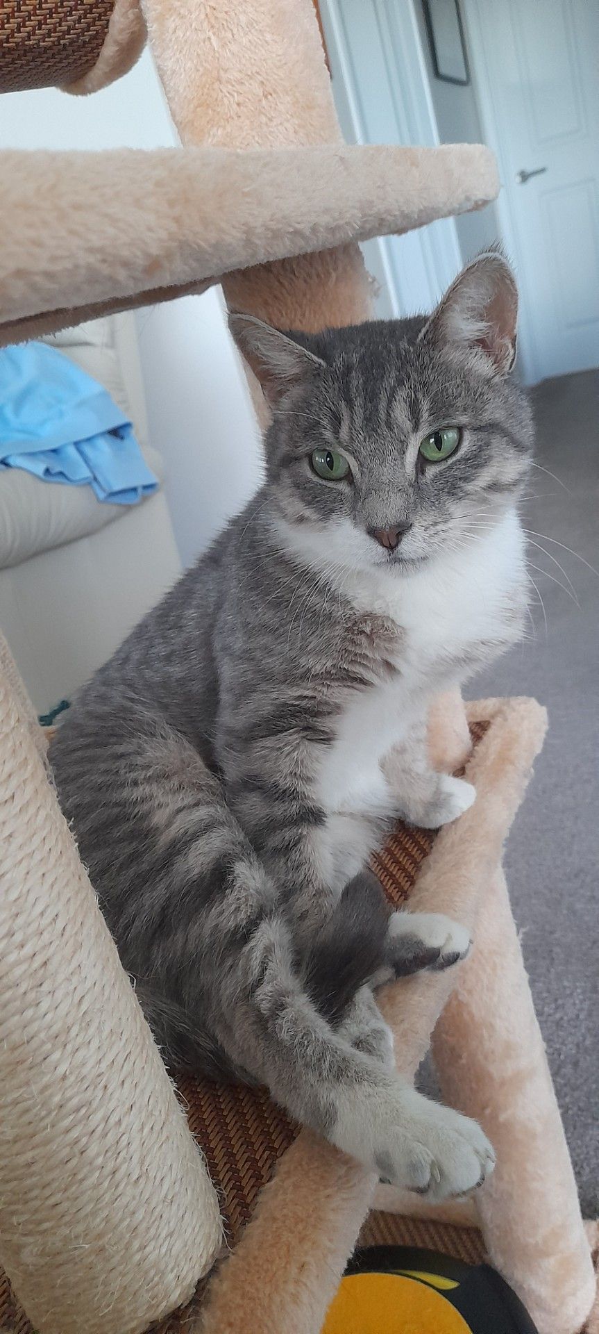 Gallery image: Andine