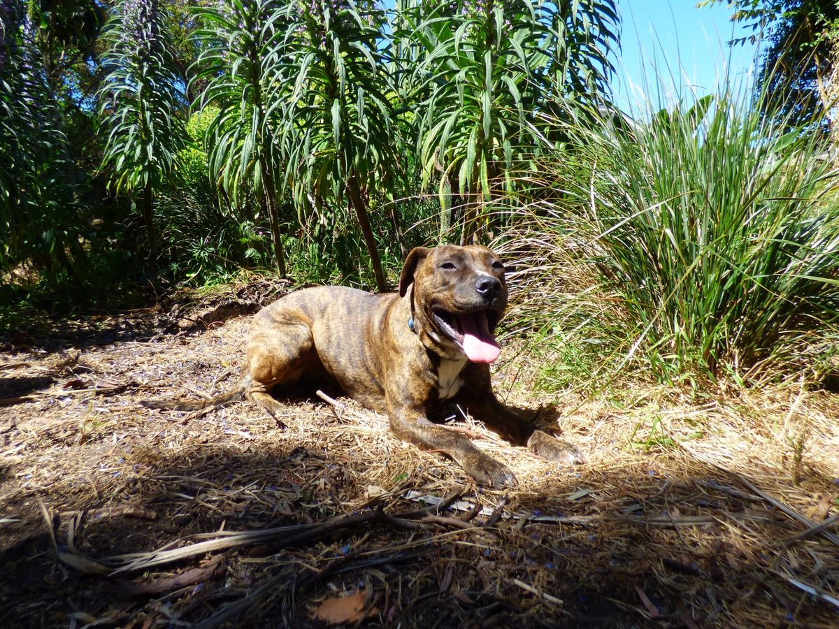 Gallery image: Nirvana