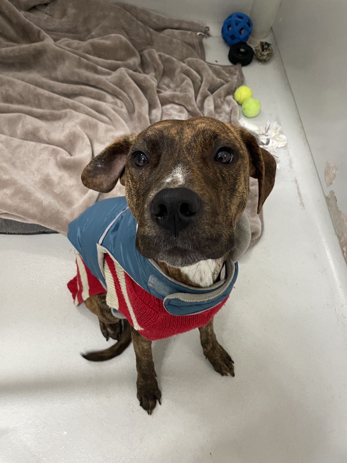 Gallery image: Nirvana