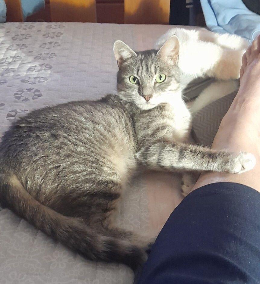 Gallery image: Andine