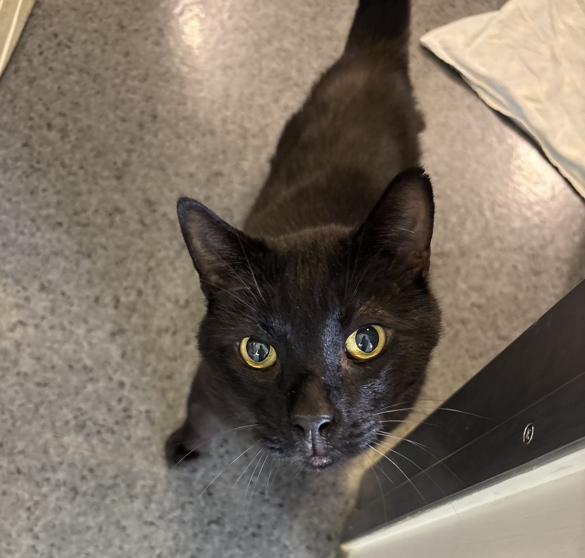 Gallery image: Leroy