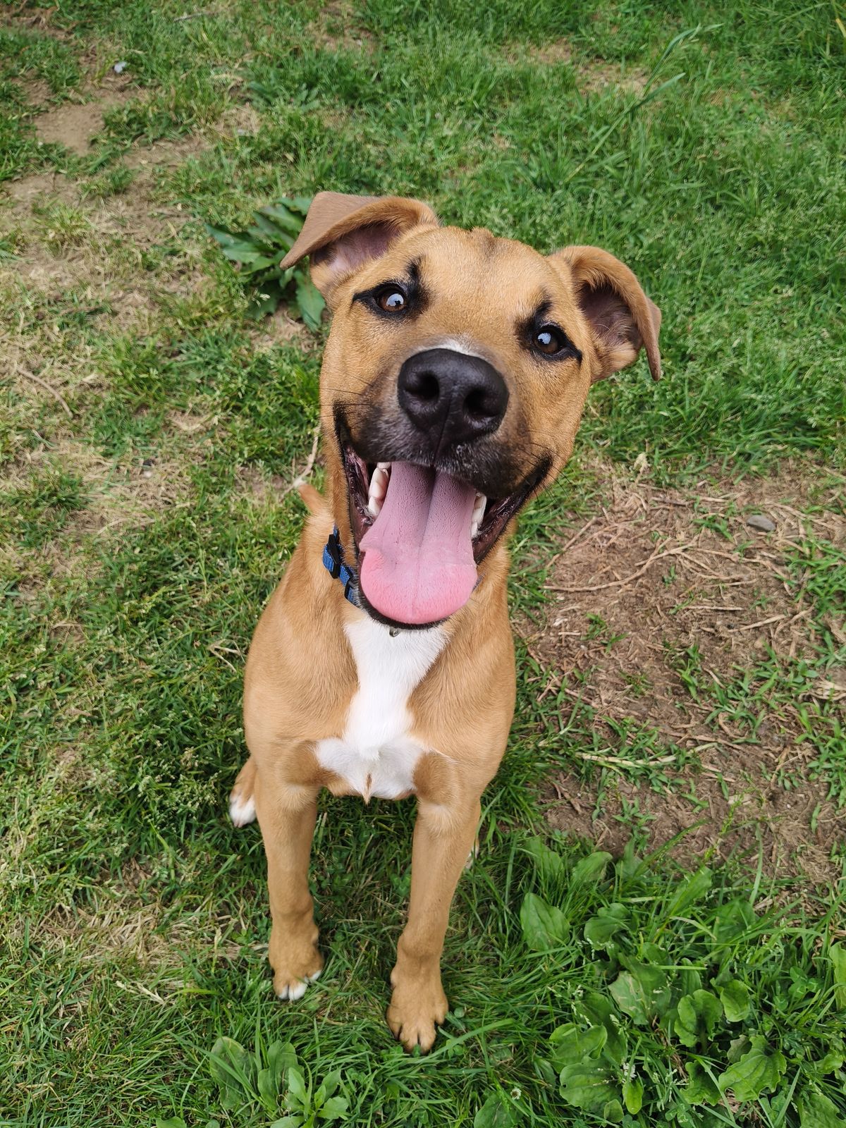 Gallery image: Harley