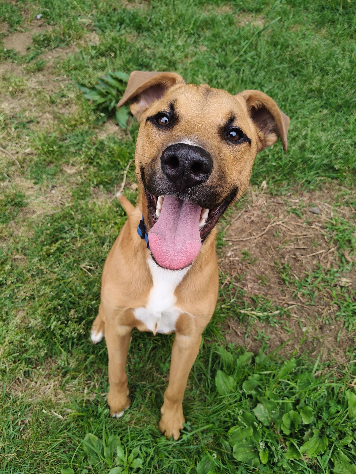 Gallery image: Harley