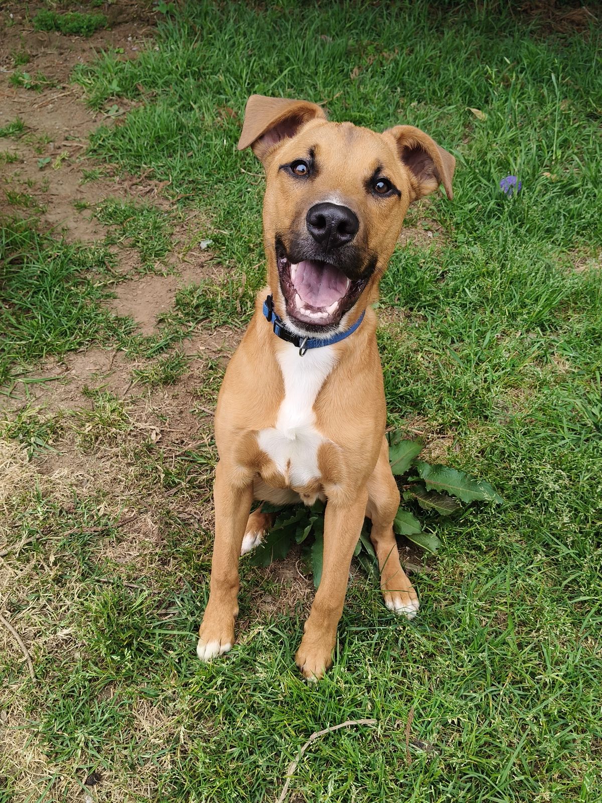 Gallery image: Harley