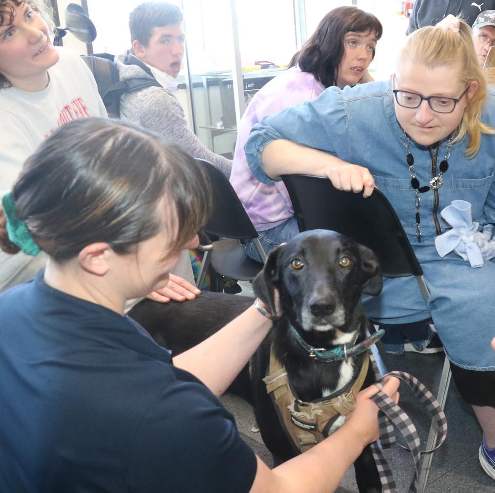 EarthSeaSky and Brackenridge team up for the animals