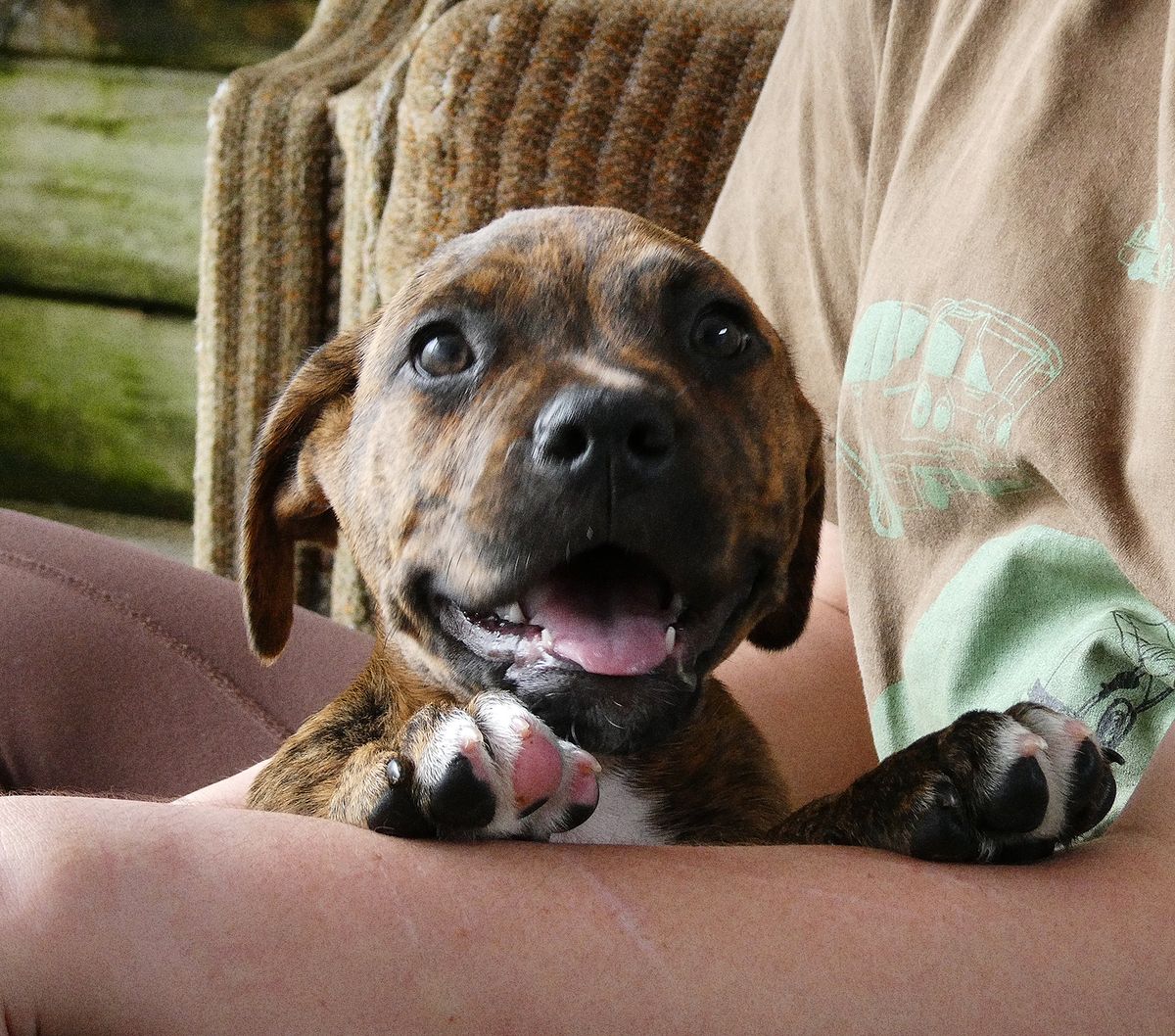 Gallery image: Camaro