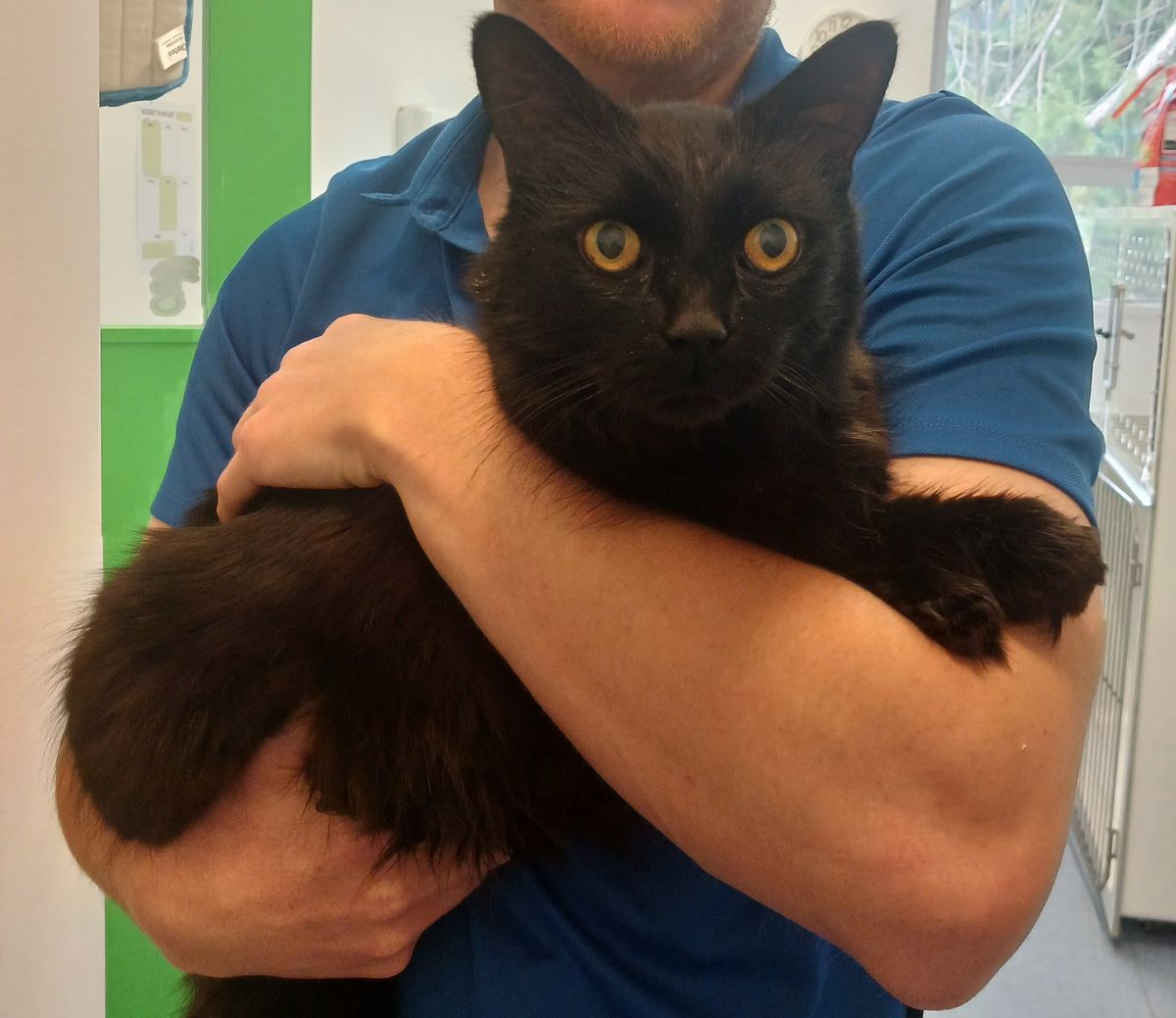 Gallery image: Frodo