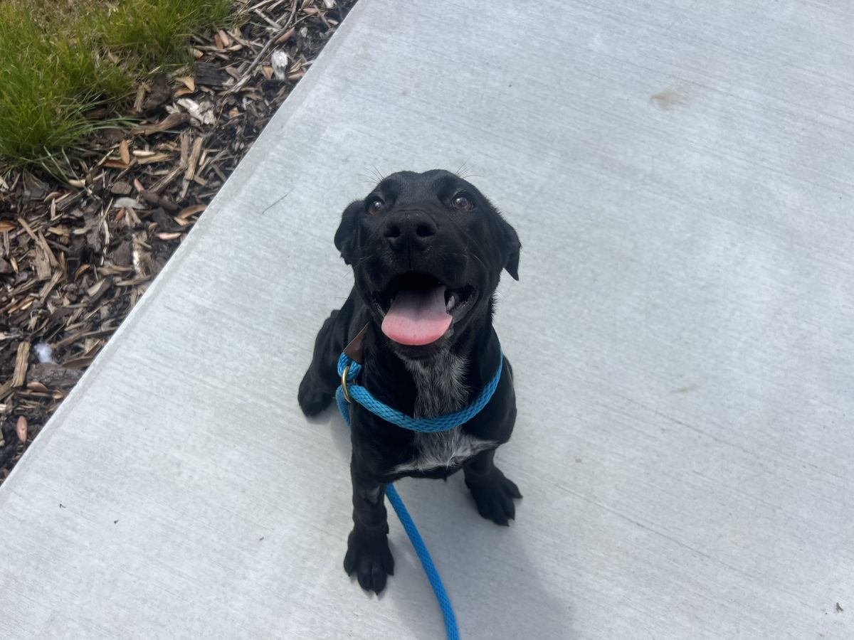 Gallery image: Freddie