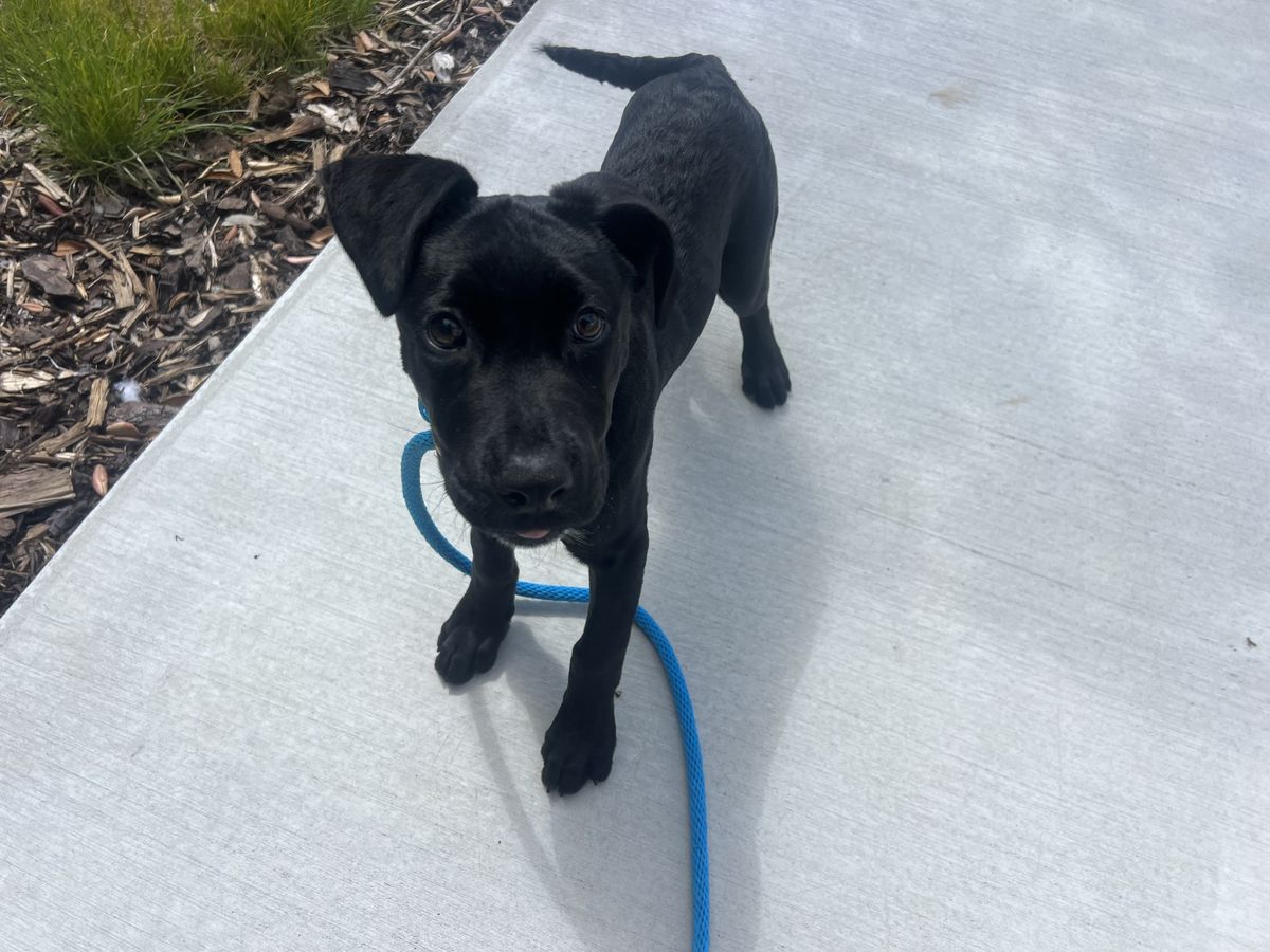 Gallery image: Freddie