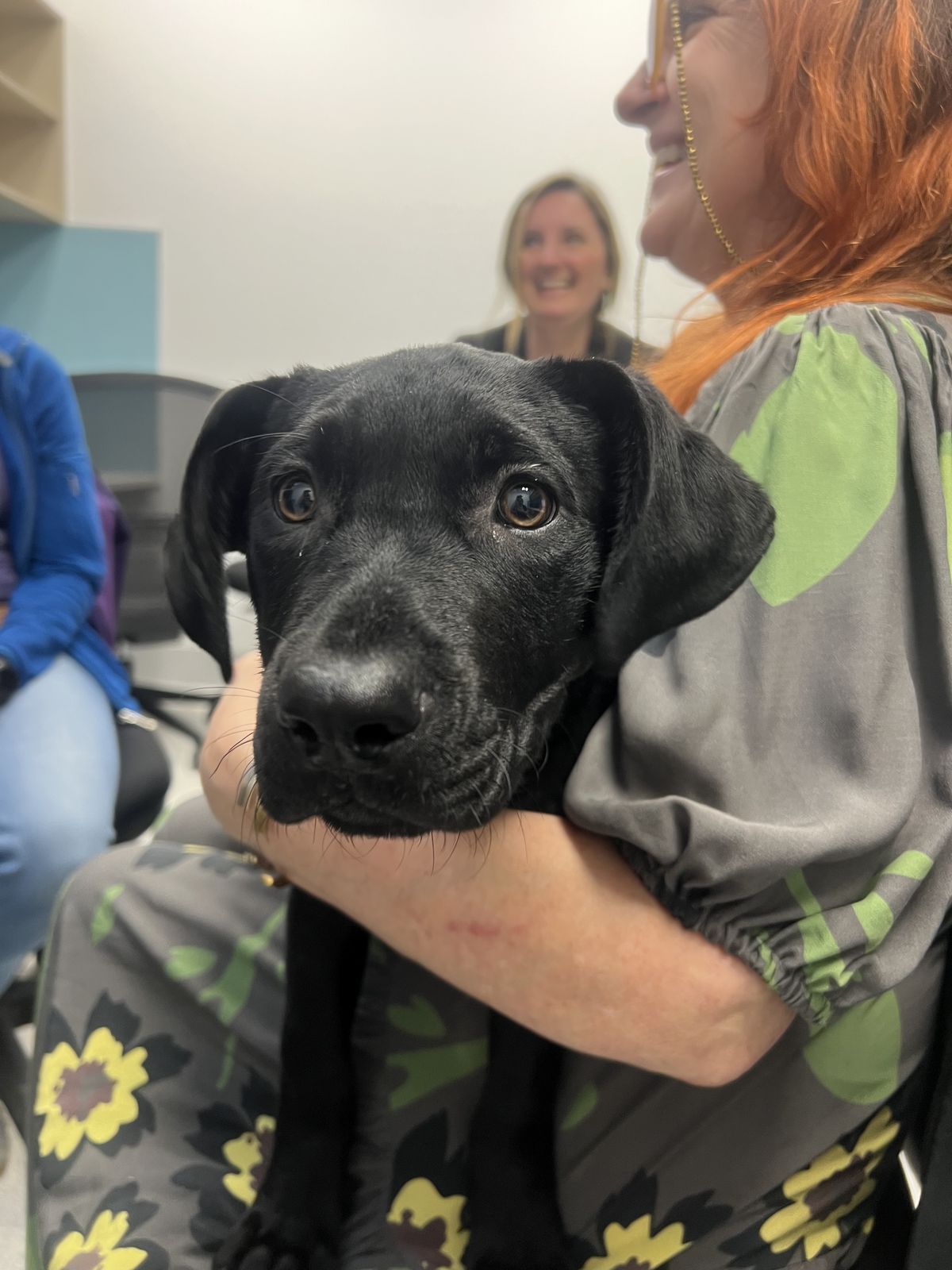 Gallery image: Freya