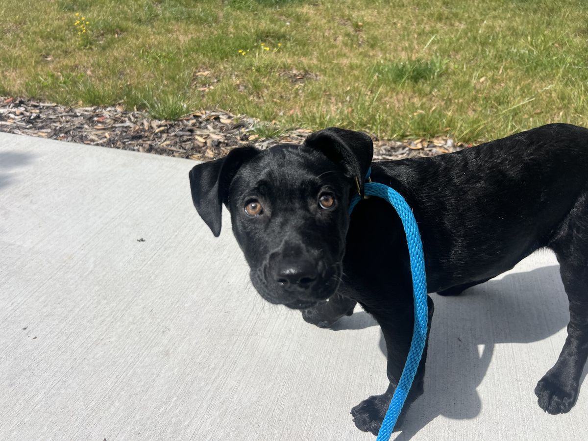 Gallery image: Freya