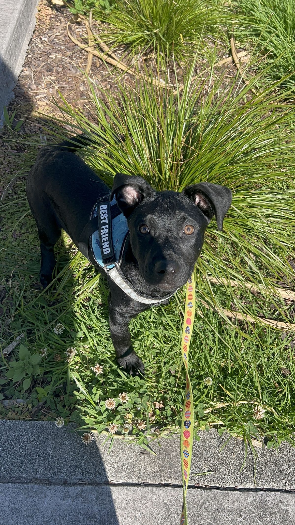 Gallery image: Freya