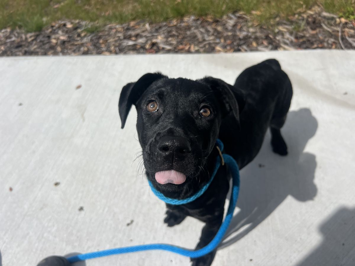 Gallery image: Freya