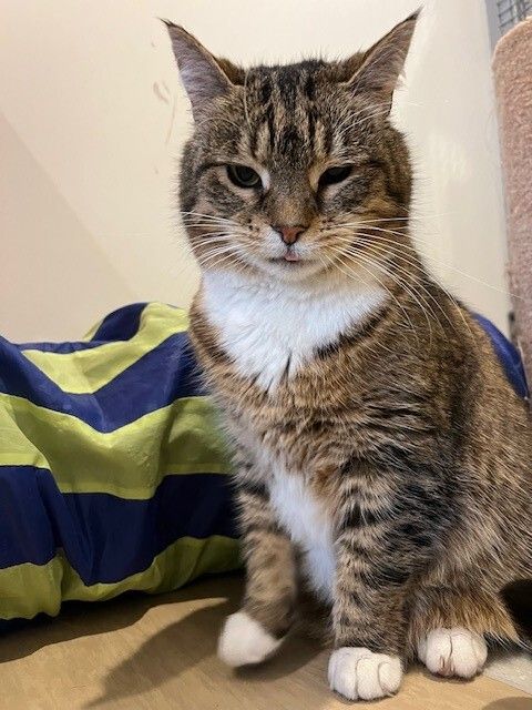 Gallery image: Charlie