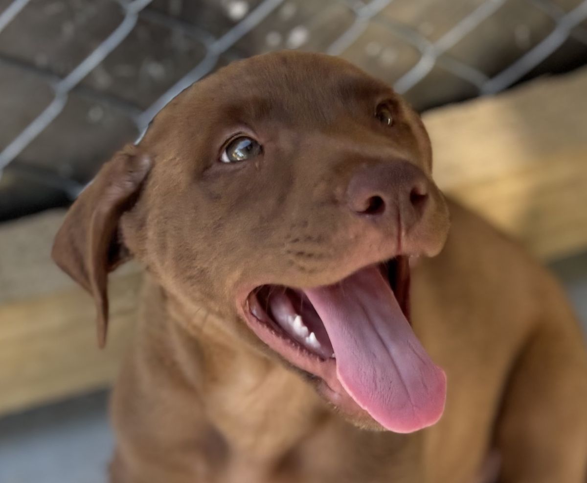 Gallery image: Ocean