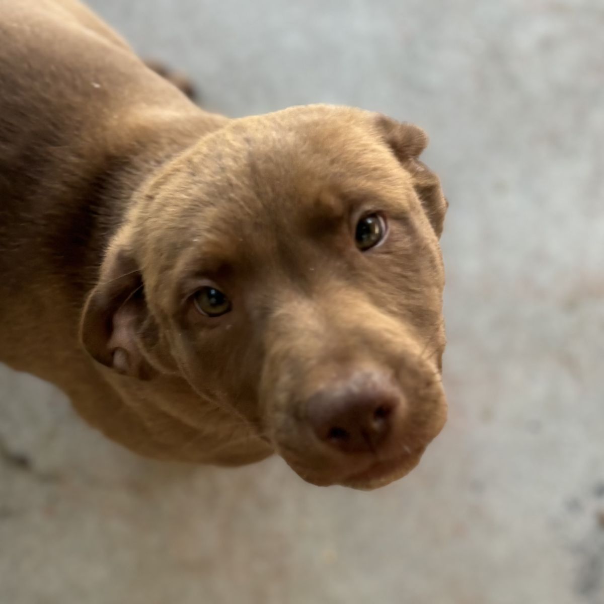 Gallery image: Ocean