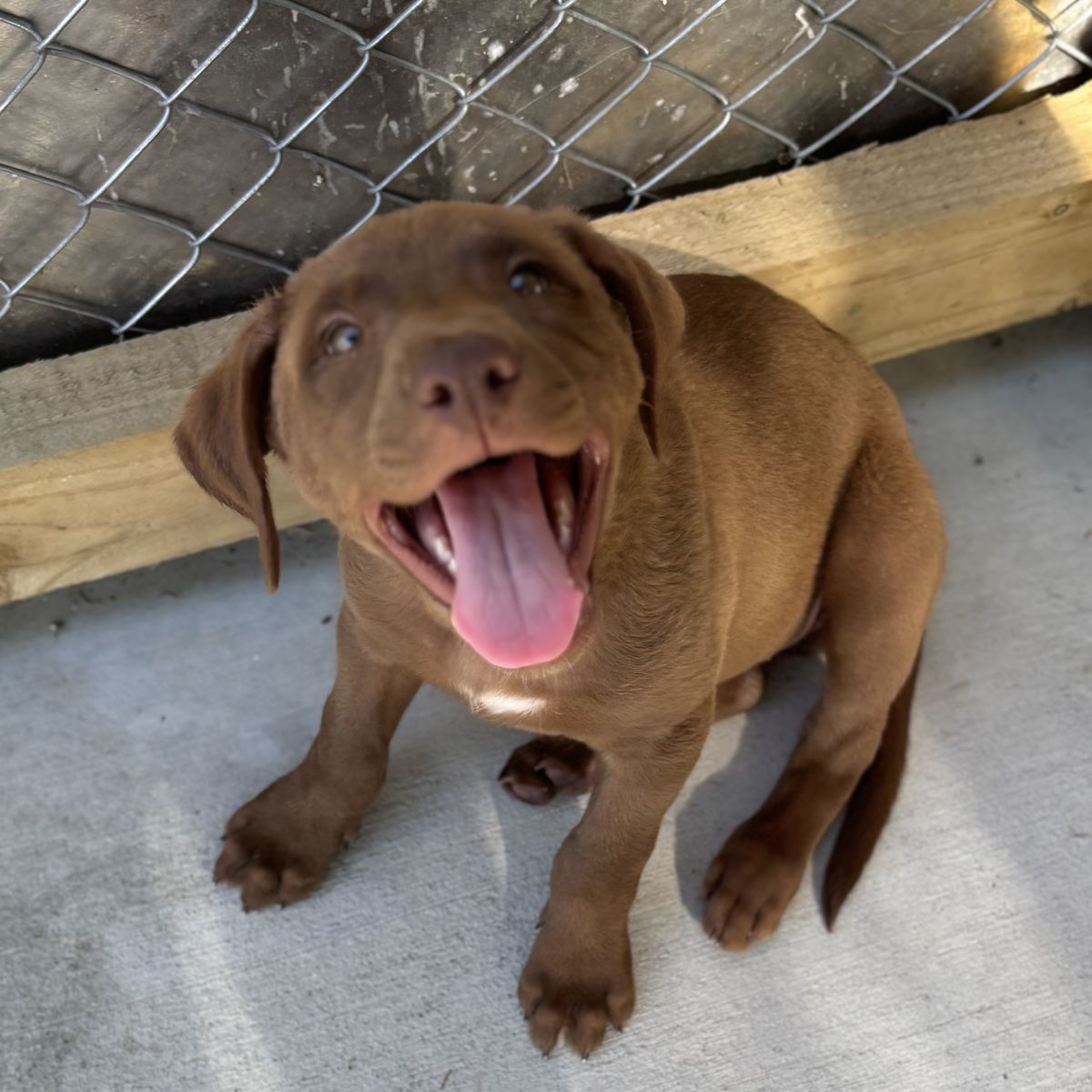 Gallery image: Ocean