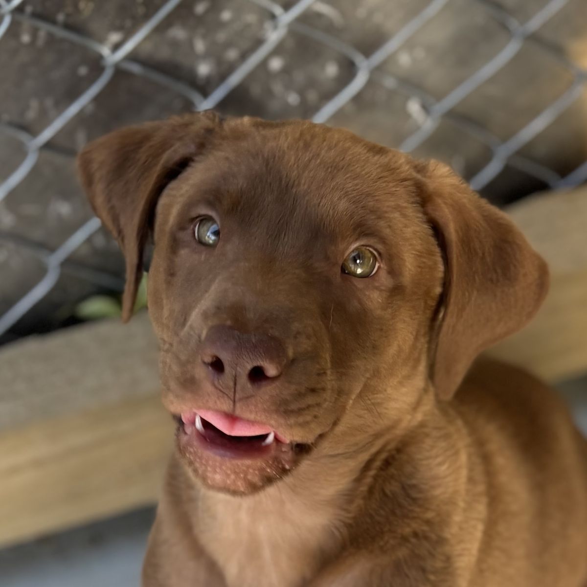 Gallery image: Ocean