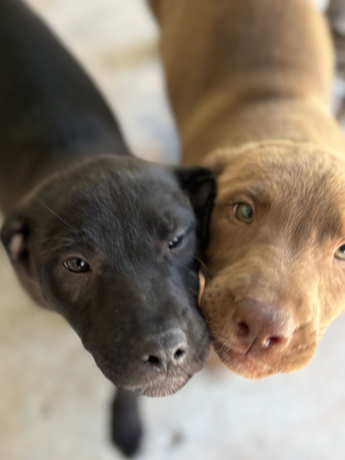 Gallery image: Pepsi