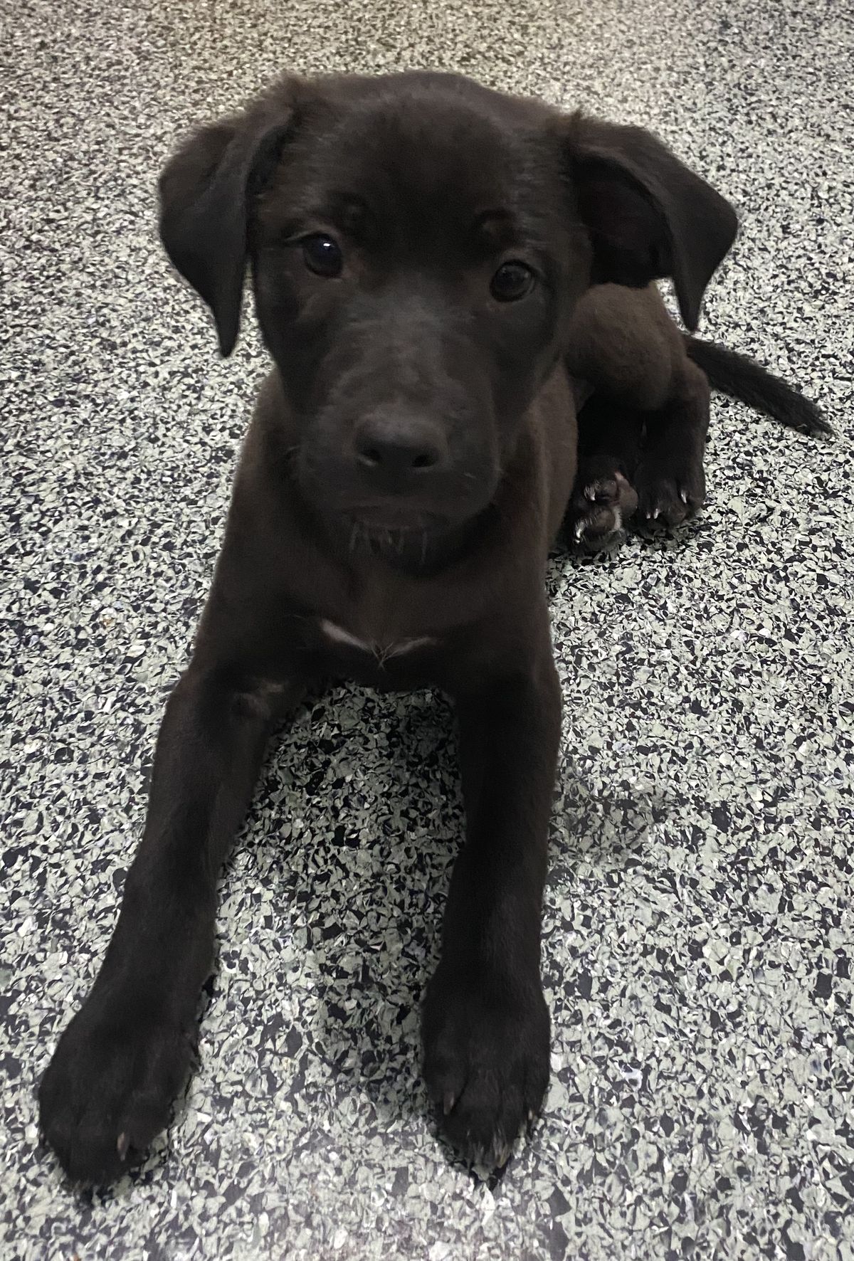 Gallery image: Pepsi