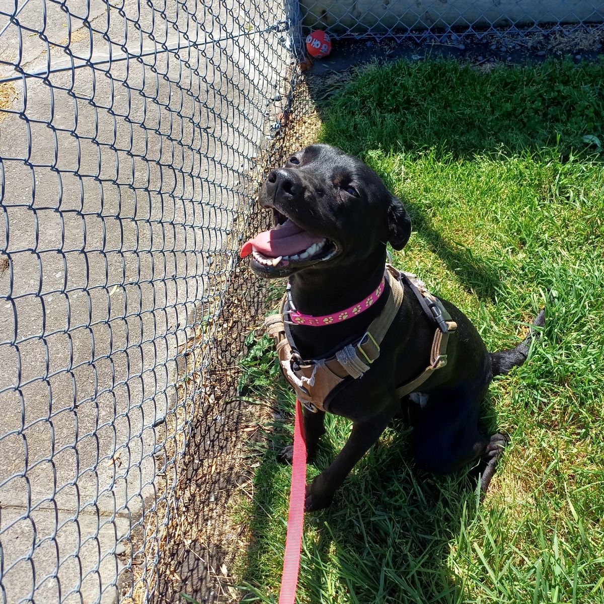 Gallery image: Maisie