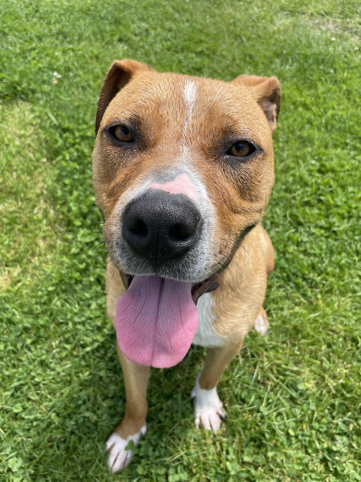 Gallery image: Stubbs 