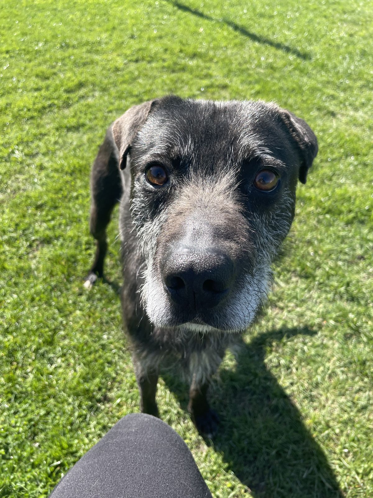 Gallery image: Lenny