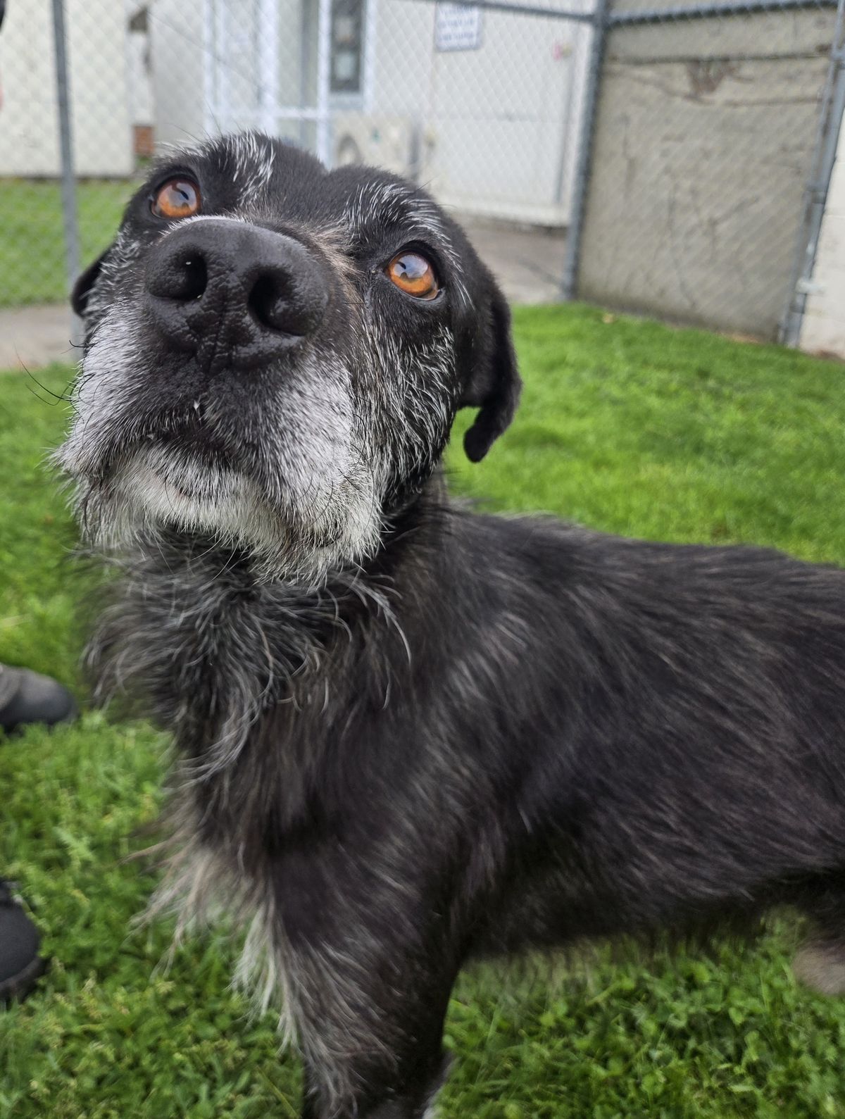 Gallery image: Lenny