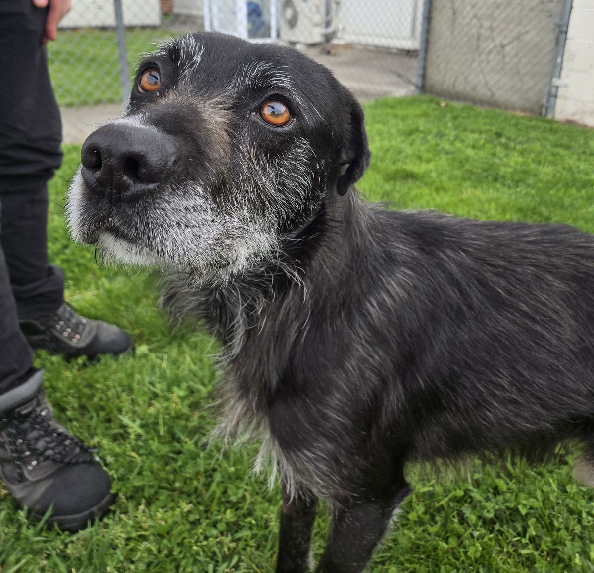 Gallery image: Lenny