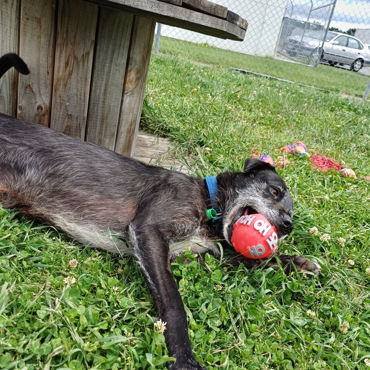 Gallery image: Lenny