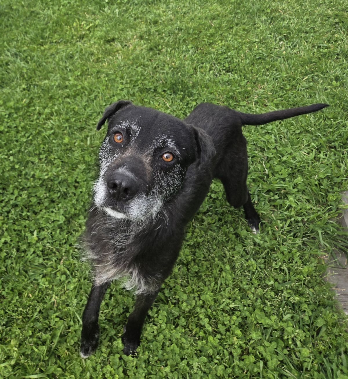 Gallery image: Lenny