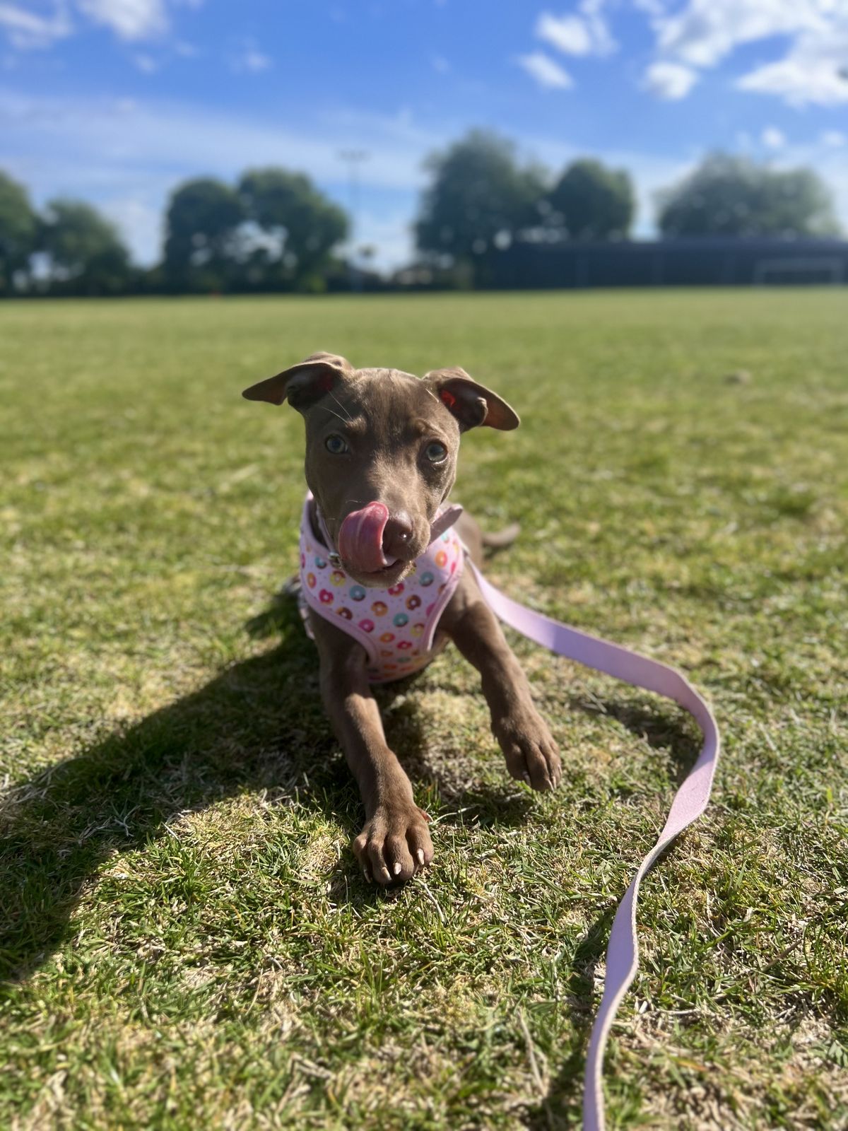 Gallery image: Celia