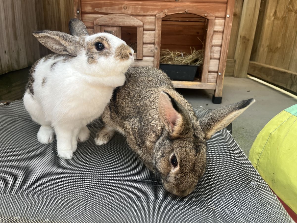 Gallery image: Billie